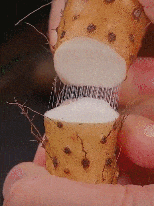 1743344770456290.gif 38b786bc9a5c7677fcf87fba26114210.gif